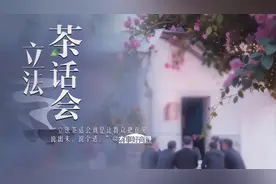 有事好商量｜工夫茶里的立法“真功夫”图片