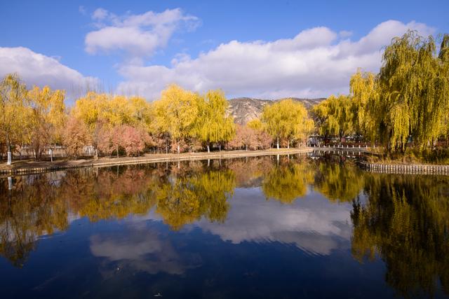 定西湖・初冬：柳黄映水 候鸟翩跹
