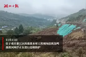 为长江经济带发展注入新动能 中交二航局在川渝投资超500亿元图片
