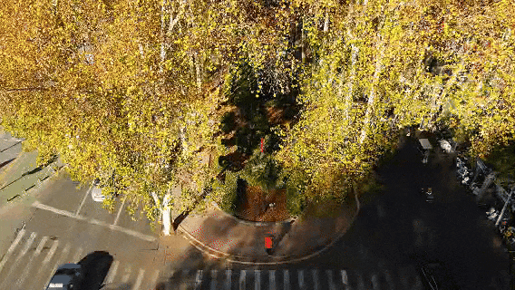 快出门！这些全是洛阳冬日限定！