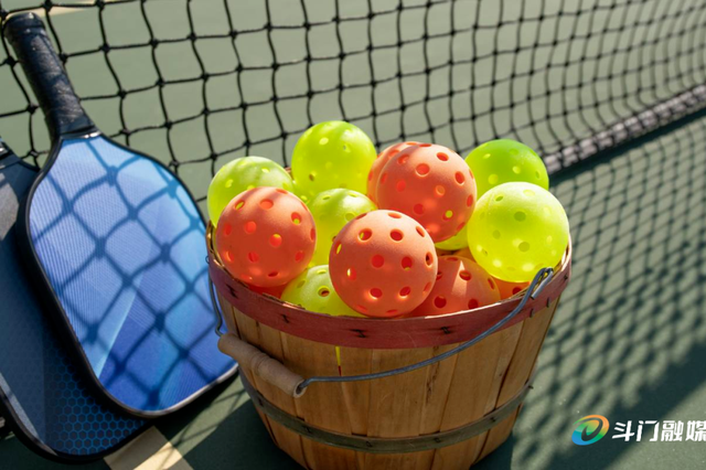 赏花撸萌宠、水果采摘、围炉煮茶……来珠海这里跨年，太精彩！