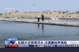 沙漠里可以养海鲜？原来秘诀在这里图片