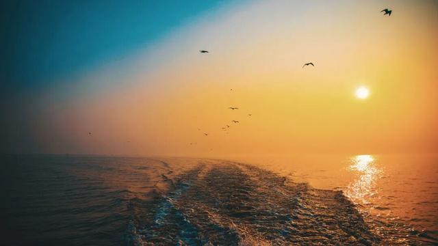 赤黄红·洪湖情 | 2025环洪湖马拉松，跑进水乡新画卷！