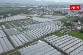 万千气象看中国｜江西特色农业托起农民“致富梦”图片