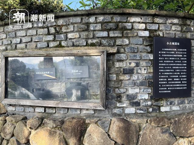 遇见小古城丨大樟树下“议”出农文旅融合新范式