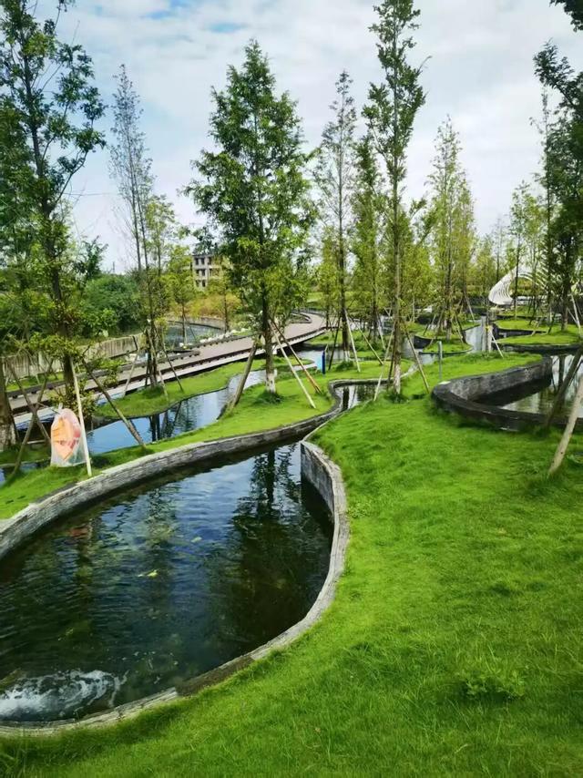 每天8.5万吨洗脚水冲厕水，竟都流向了这个网红公园？