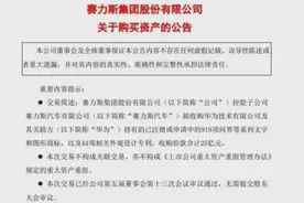 25亿转让商标，华为抛弃赛力斯？图片
