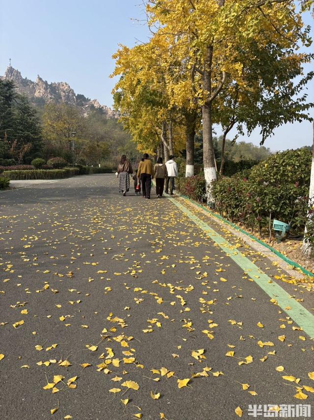 浮山南麓，藏着青岛最美冬日