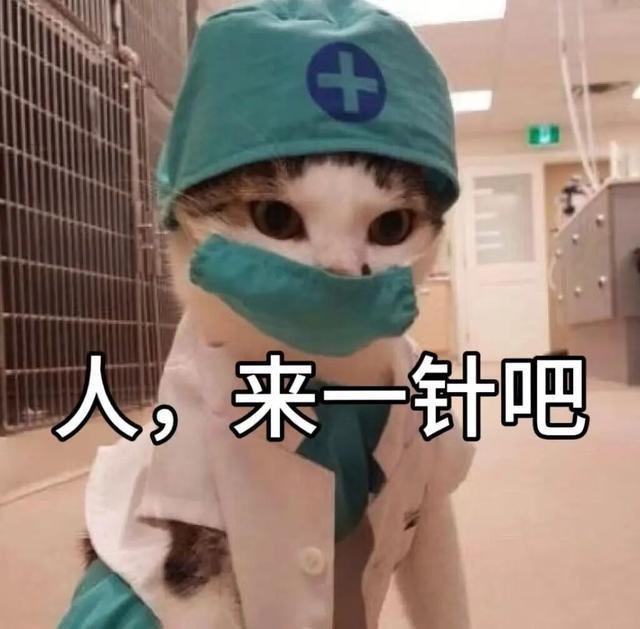 什么？狂犬病的头号元凶不是狗？最要警惕的动物竟然是它→