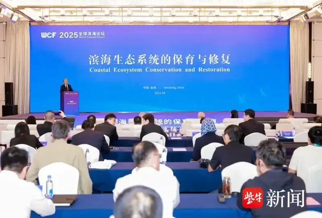 守护滨海生态韧性：2025全球滨海论坛盐城主题论坛共商保育修复之策