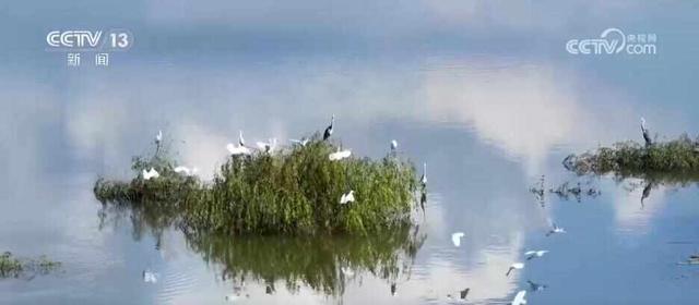 特色赏秋游热潮澎湃 “文旅+”新场景新业态激发“秋日经济”活力