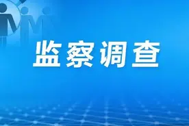 原上海东方船舶物资有限公司、上海宏舟船舶物资有限公司一公职人员接受监察调查图片