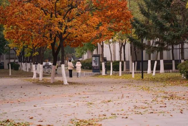 沈阳这些地方太美了!赏秋倒计时,错过等一年!