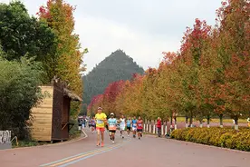 “老将出马”万峰林半程马拉松参赛者：自由奔跑 拥抱健康图片