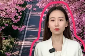 武汉100秒丨樱花季，武汉开启“讨好型人格”图片