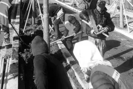 沈阳抢抓秋冬季行道树补植黄金期 拟对全市304条街路补植行道树1.3万余株图片