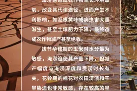 转需！农业生产如何应对旱涝急转？图片