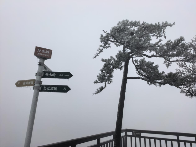 南阳老界岭迎来今秋首场雾凇