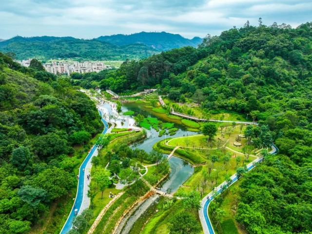可直达坪山高铁站！这条公交线路通勤游玩两相宜~