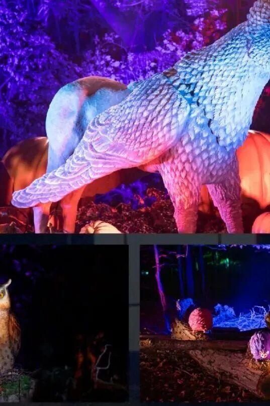 哈迷集合！全国首家“哈利·波特：禁林体验”门票免费送