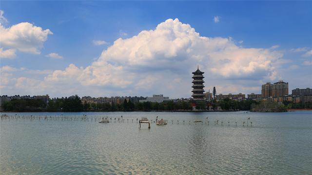 商视界丨柘城县：雨后容湖别样美