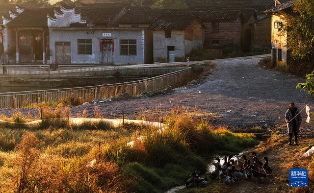 文化中国行·传统村落人文影像志｜湘南古村：深巷古祠间的诗意与乡愁