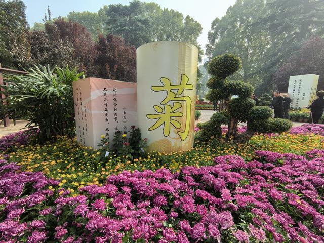 想要漫步菊海？请来郑州人民公园共赴跨越千年的文化对话