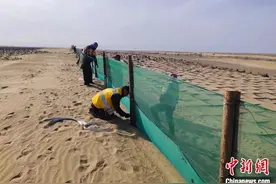 探访戈壁滩铁路线上的治沙人图片