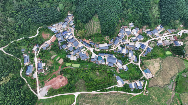 旅居云南丨生活在磨憨：体验雨林徒步、特色美食和绚烂民族文化