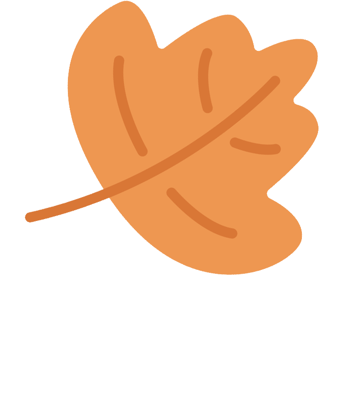 倒计时开启！“你好，2026”奥帆爆梗夜，等你来笑！