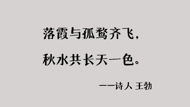 冬季到江西来观鸟，方知王勃诚不欺我！