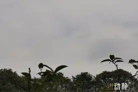 贵阳阴雨天气为何“绵绵不散”？图片
