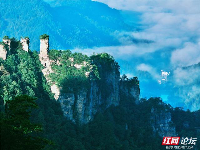 【每日一图@湖南】在杨家界的秋日云海里，遇见最灵动的中国画