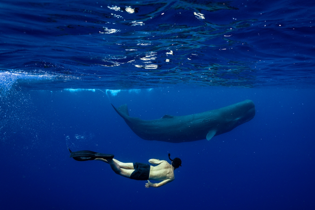 从北京中轴线到东非大草原：2026国家地理全球最佳目的地公布