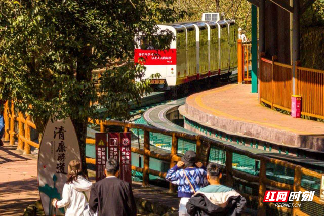 晴好秋光引客来，张家界十里画廊人气“一路飙升”