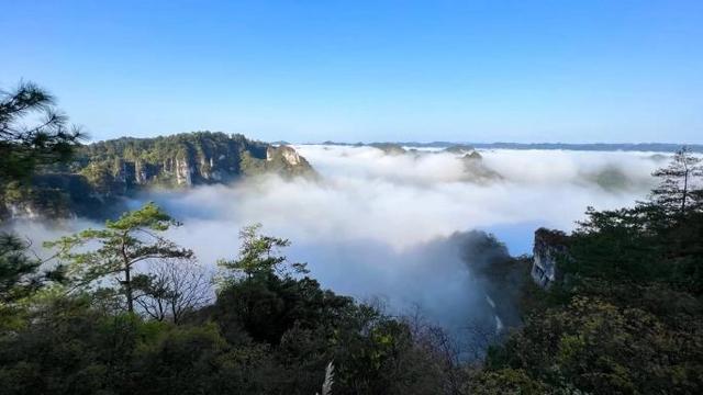 限报500名!“赛动黔景·徒旅贵州” 2025云台山徒步登高穿越赛报名开启速抢名额