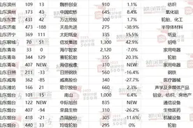 胡润中国非国有企业500强揭晓：山东17家企业上榜，中际旭创崛起图片