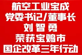 航空工业宝成荣获宝鸡市 “担当有为国有企业”称号图片
