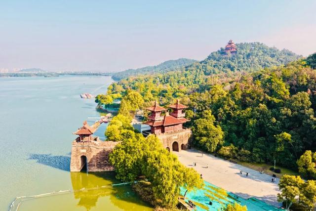 东湖秋日图鉴③｜磨山秋笺：一叶一诗，帧帧藏秋韵