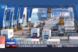 20000吨智利车厘子到了！图片