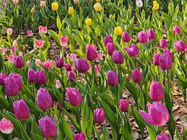 开了！开了！福州一公园上新！就在这里→