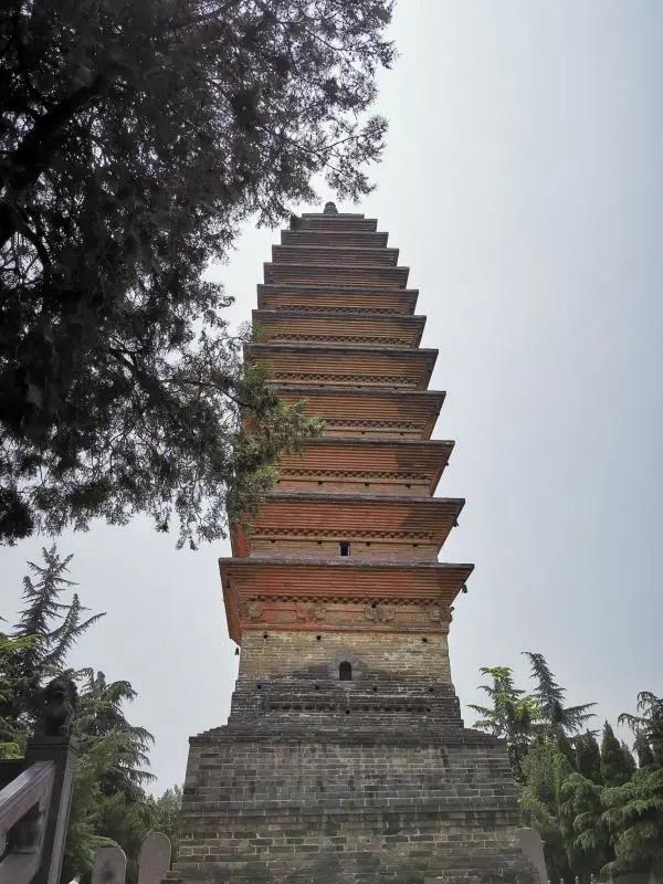 洛阳这些地方值得反复去,反复反复去... ...