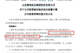 生产基地停产满三个月，晨鸣纸业明起股票“戴帽”图片