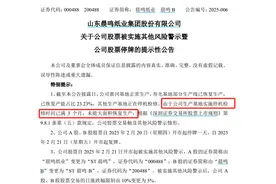 生产基地停产满三个月，晨鸣纸业明起股票“戴帽”图片