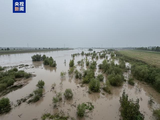 汾河临汾段洪水黄警