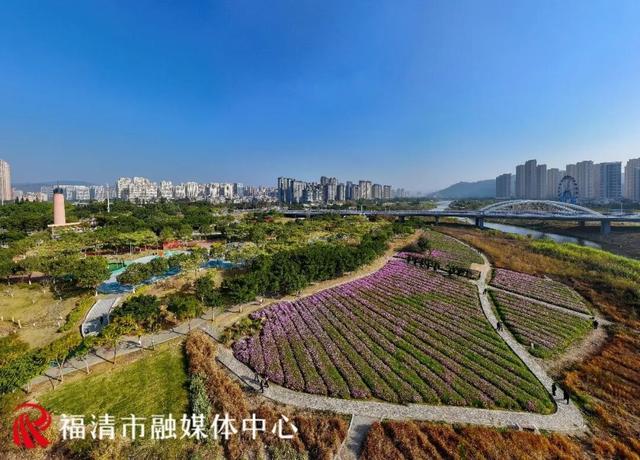 福州新晋顶流！“粉色花海”惊艳上线，本周末出片首选地