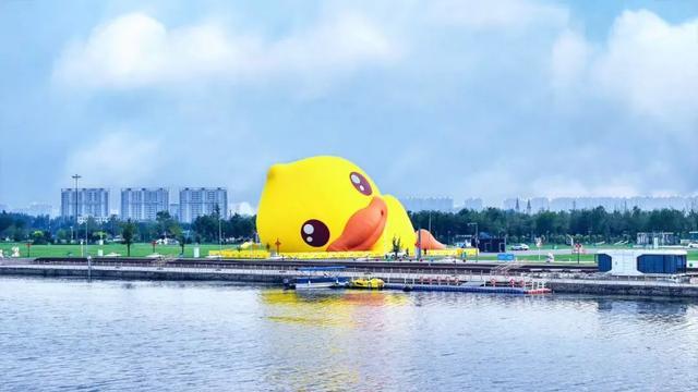 这么近，来看YA！巨型趴趴鸭悄悄“着陆”石家庄！