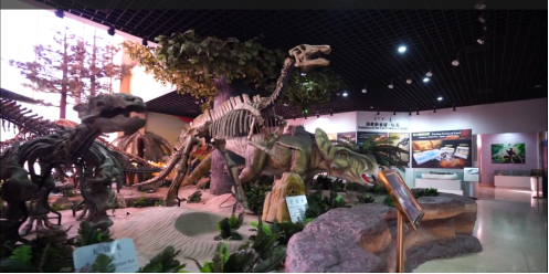 这个冬天，猫在巴彦淖尔才是幸福事