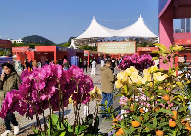 增城2026花市定档！打卡攻略→