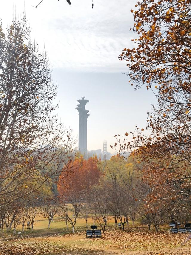 秋深冬浅时，奥森浸染缤纷色彩